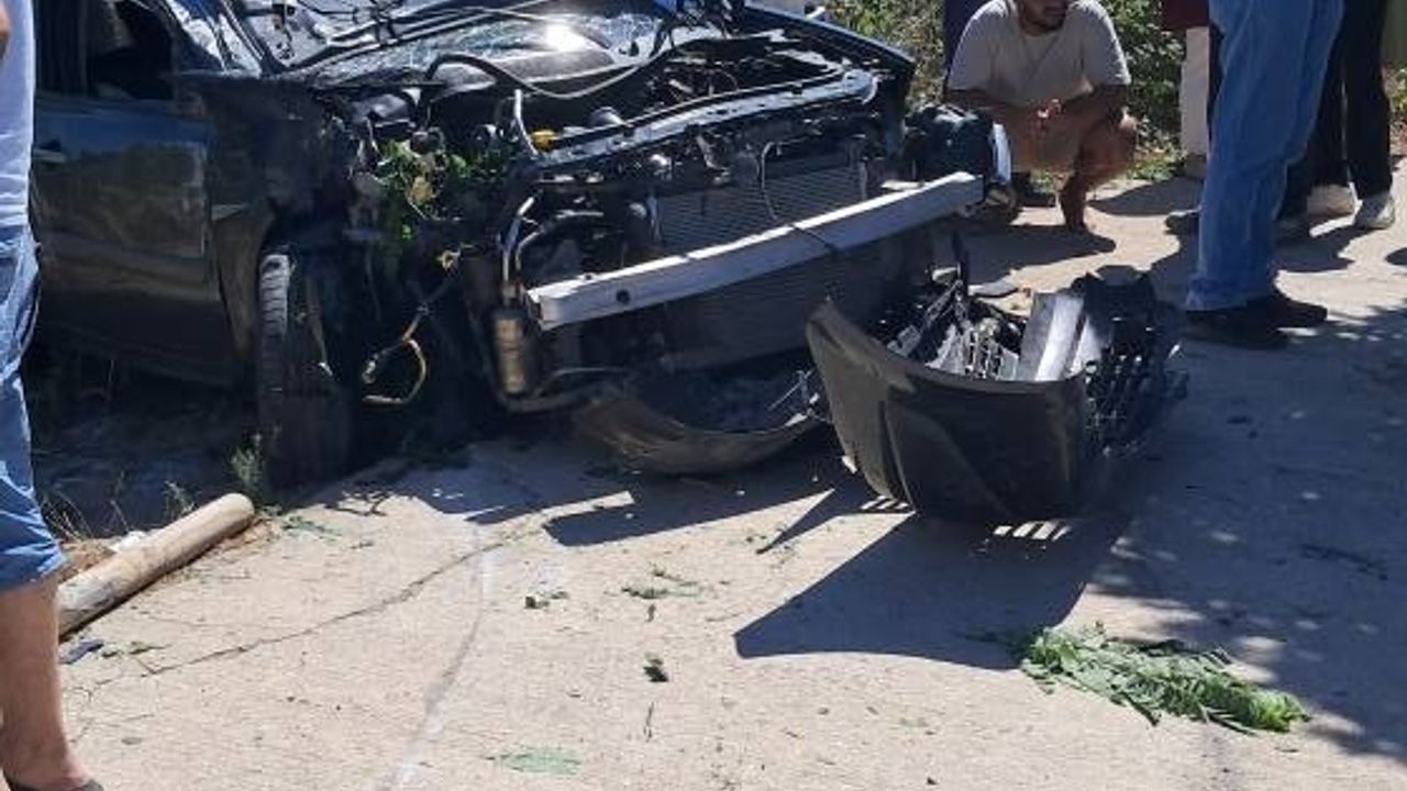 Sakarya'da Kontrolden Çıkan Otomobil Aydınlatma Direğine ve Ağaca Çarptı