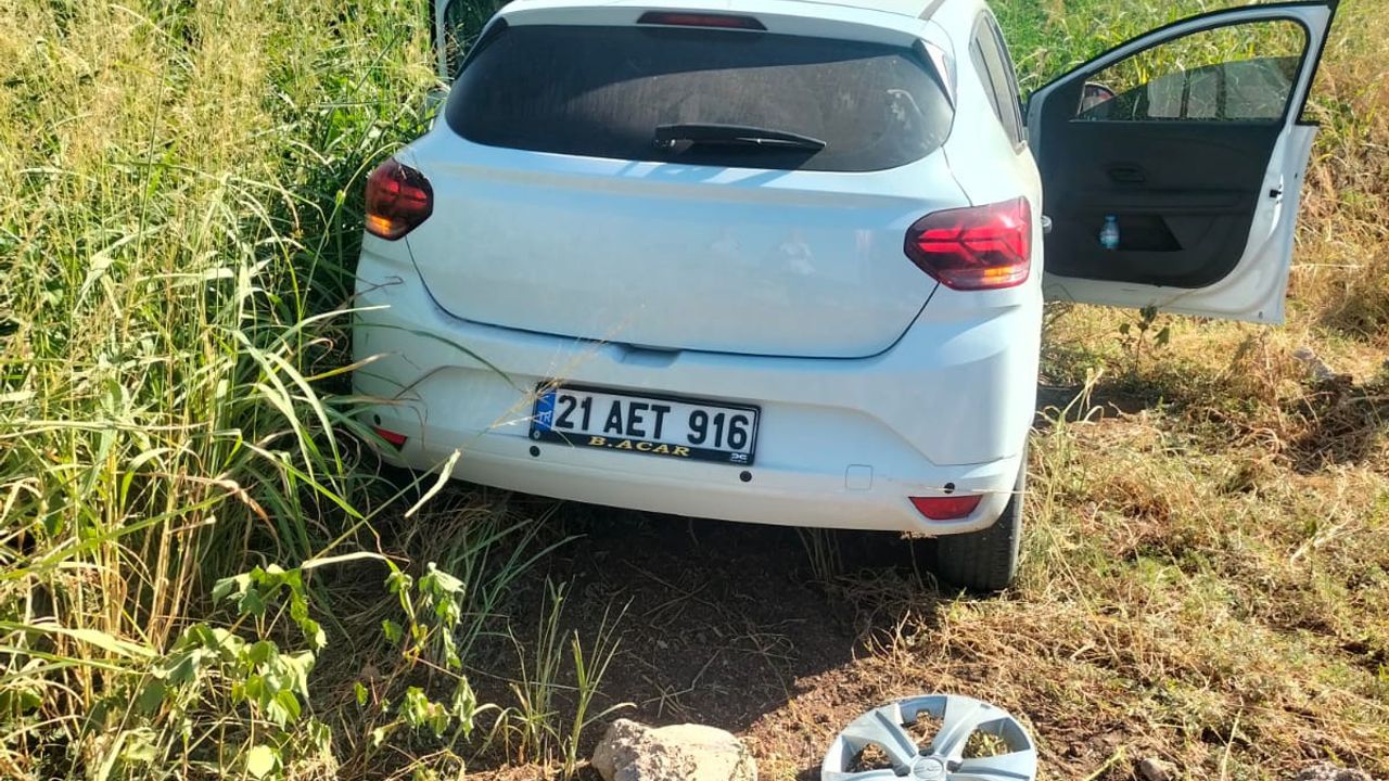 Diyarbakır'da feci kaza: otomobil tarlaya uçtu, 5 yaralı