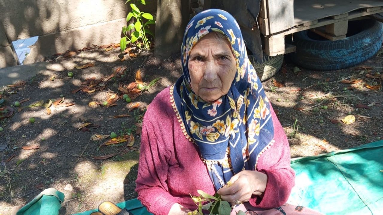 Düzce’de 81 Yaşındaki Kadın Kayboldu
