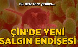 Çin'de yeni salgın endişesi: Hantavirüs nedir?