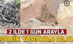 2 ilde 1 gün arayla büyük panik yaratan görüntü