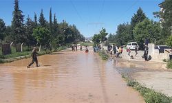 Çocuklar çamurlu suya aldırış etmeden eğlendiler