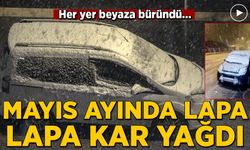 Mayıs ayında lapa lapa kar yağdı