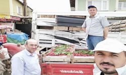 Kirazlar toplandı satılmaya başlandı