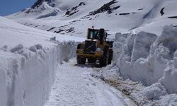 Van'da ekipler kardan kapalı yolları açmak için çalışma yürüttü