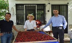 Kiraz üreticileri sabit fiyat istiyor