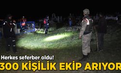 Herkes seferber oldu! 300 kişilik ekip arıyor