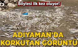 Adıyaman’da korkutan görüntü: Böylesi ilk kez oluyor