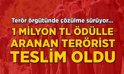 1 milyon TL ödülle aranan terörist teslim oldu