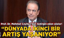 Prof. Dr. Mehmet Ceyhan'dan tedirgin eden sözler: Dünyada ikinci artış yaşanıyor