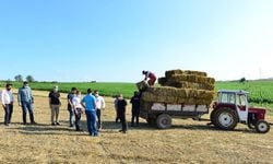 Belediyenin tarlalarından üreticilere yem bitkisi