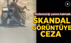 Vicdansızlığı yanına kalmadı! Tepki çeken görüntüye ceza