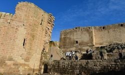 Harran Sarayı'nın ana kapısı gün yüzüne çıkarıldı