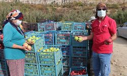 Mahalledeki üreticilerin büyük kısmı emekli ve üniversite mezunu