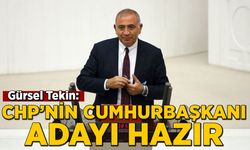 CHP'li Gürsel Tekin: CHP'nin cumhurbaşkanı adayı hazır