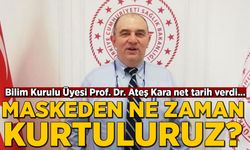 Bilim Kurulu Üyesi Prof. Dr. Ateş Kara: Temmuz'da maskeler çıkarılabilir