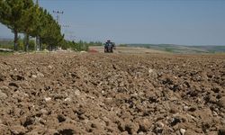 Arazi desteği sağlamak için Hazine taşınmazları arz edilecek