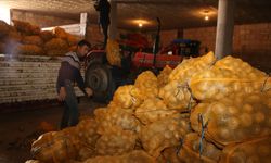 1300 ton patates Nevşehir'deki depolardan çeşitli illere sevk edildi