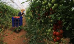 Antalya'da üretim, ramazan ayında da hız kesmeden devam ediyor