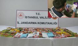 Jandarmadan İstanbul'da bonzai operasyonu