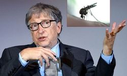 Biyolojik silah mı üretiyor? Bill Gates sivrisinek fabrikası kurdu iddiası