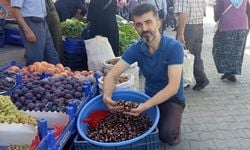 Kastamonu kestanesi tezgahlarda: Kilosu 50 TL