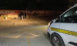 Bekçilerin devriyesinde ortaya çıktı: Otoparkta ölü bulundu