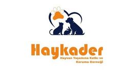 HAYKADER'den "Dudu Berk" açıklaması