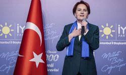 İYİ Parti'de seçim hareketliliği: 16 il başkanı görevi bırakıyor