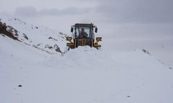 Ekipleri yolları açmak için çalışıyor! Şırnak'ta mevsimin ilk karı 1 metreyi buldu