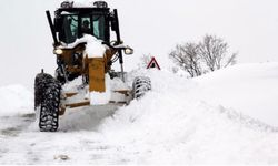 Ulaşıma kar ve tipi engelİ: 1133 yol kapandı