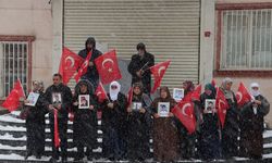 Diyarbakır anneleri kar altında evlat nöbetini sürdürüyor