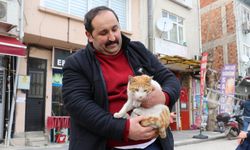 5 gün boyunca çatıda mahsur kalan Arsız isimli kedi vatandaşların yardımıyla kurtarıldı