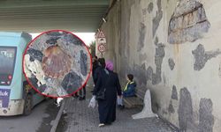 İstanbul'da tedirgin eden görüntü! Köprü duvarından midye kabuğu çıktı