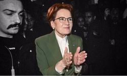 İYİ Parti'de istifa dalgası! Akşener masadan kalkınca 30 bine yakın partili istifa etti