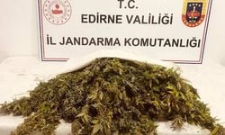 Jandarma ekipleri, Edirne'de zehir tacirlerine darbe vurdu