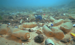 Plastikleri düşük sıcaklıklarda sindirebilen mikroplar keşfedildi