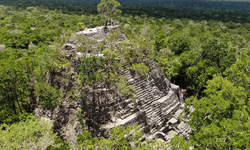 Guatemala'daki ormanda 417 antik Maya şehri keşfedildi