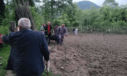 Kastamonu'da su kuyusuna düşen Vezile Gün isimli yaşlı kadın yaşamını yitirdi