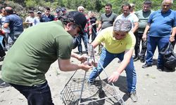 Caretta carettalar için güvenlik kafesi yerleştirildi