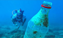 Plastiğin denizlere ve deniz canlılarına etkileri artıyor