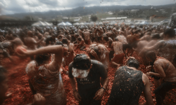 Kolombiya'da Tomatina Festivali'ne katılanlar tonlarca domatesi birbirine fırlattı