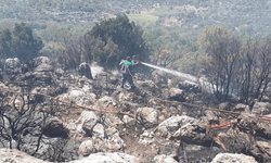 Muğla'da ormanlık alanda çıkan yangın söndürüldü