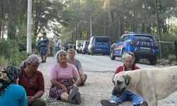 Şafak vakti Akbelen Ormanı'na baskın