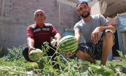 Depremde yıkılan evin enkazından karpuz çıktı