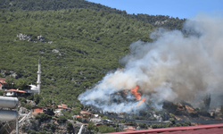 İzmir'de orman yangını: Havadan ve karadan müdahale ediliyor