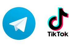 Somali hükümeti Tiktok, Telegram ve 1XBET'i yasaklıyor