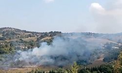 Yalova’da korkutan yangın