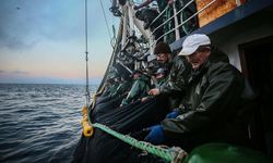 İstanbul hamsi, istavrit ve çinekopa doyacak