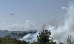 Çanakkale'de orman yangını